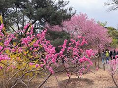 -国家植物园