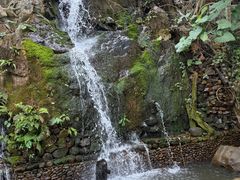 -海南槟榔谷黎苗文化旅游区