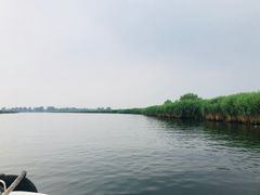 -白洋淀景区