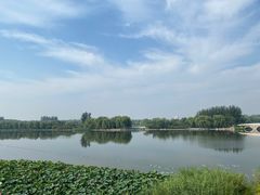 -大兴滨河森林公园