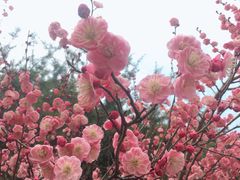 -白塘生态植物园