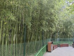 -宣武艺园