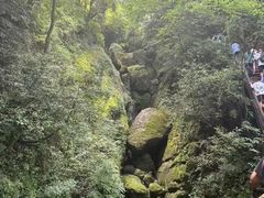 -青城山