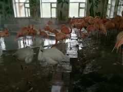 -哈尔滨北方森林动物园