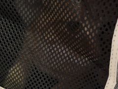 -守诺宠物医院·眼科· 特色牙科·异宠专科(虹口店)
