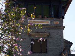 -东莞市可园博物馆