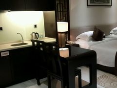 -河源万绿湖美思威尔顿酒店