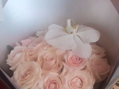 -杏花堂(北大街店)