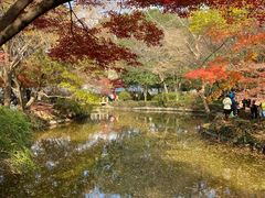 -秋霞圃