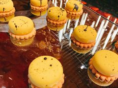 -西安W酒店·WEI全味西餐厅