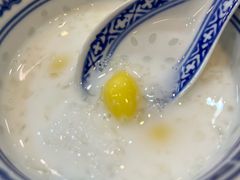 -大中鱼翅 Taitong Shark Fin