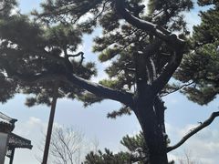 -妙峰山风景名胜区