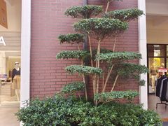 -王府井奥莱临潼小镇(临潼店)