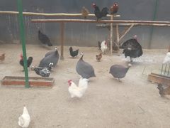 -瑞博尔花园酒店(太周创新产业园店)