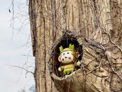 -安吉Hello Kitty乐园