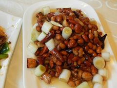 -陈麻婆豆腐总店