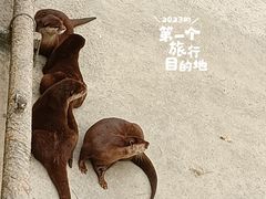 -北京动物园