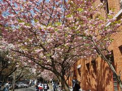 -贵州师范大学(宝山北路校区)