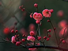 -杭州六谷生态休闲农庄有限公司