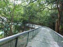 -石燕湖生态旅游景区
