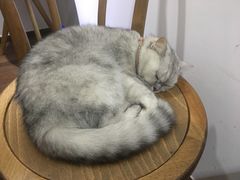 -研途咖啡馆(健康路店)