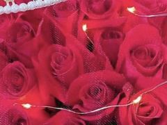 -玫瑰之约(花之语鲜花店)