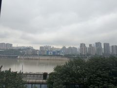 -李子坝梁山鸡(李子坝大鸡哥店)