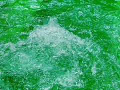 -春晖园度假酒店温泉