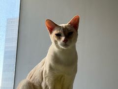 -潇湘阁(昆泰国际大厦店)