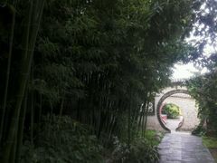 android_upload_pic-王家大院