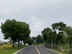 -南京市江宁方山