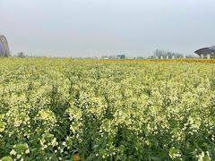 -中国天府农业博览园