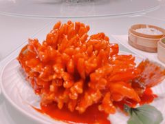 松鼠桂鱼-湖锦酒楼·旗舰店(三阳总店)