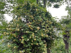 -世纪联华(安徽六安店)