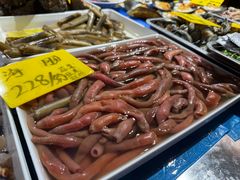 -红高粱海鲜大排档(福成路店)