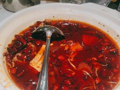 毛血旺-一品红川菜(皇岗店)