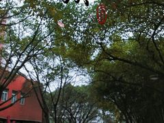 -黄桷坪涂鸦艺术街