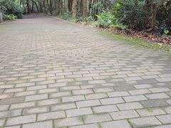 -滴水岩森林公园