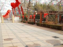 -金雁飞鸣双语幼儿园