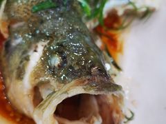 -福喜美食城