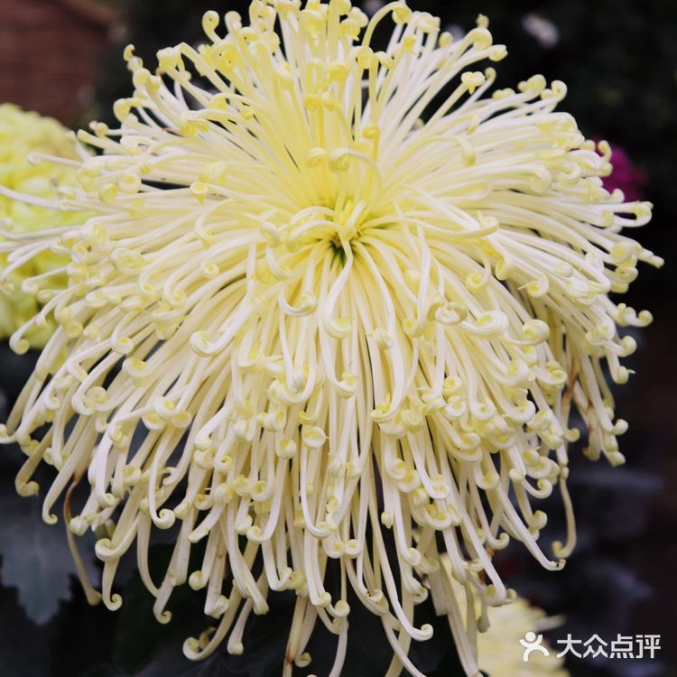 ️周三，午安！ 喜欢秋高气爽的季节  阳光明媚