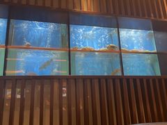 -珍宝海鲜JUMBO Seafood(尚嘉店)