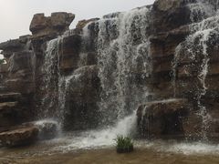 -枫香湖儿童公园