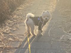 -绿堤公园