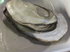 -吓土伯生蚝(工厂店)