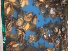 -藜爱·山海情海鲜自助(万达广场店)
