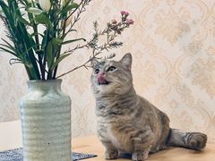 -G-Super 绿地优选(徐汇绿地缤纷城店)