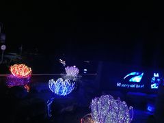 -土司宴