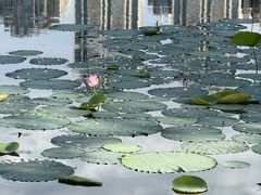 -成都南湖公园