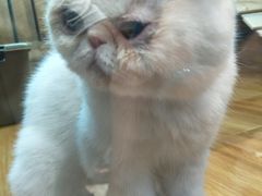 -龟与熊猫宠物公园(南坪店)